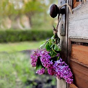 Lillac Cottage